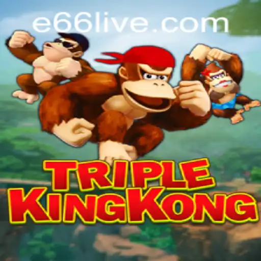 Exploring TripleKingKong: An In-Depth Look
